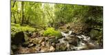 Premium Photographic Print