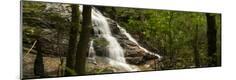 Premium Photographic Print