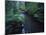 Small Stream Flowing Through Redwoods National and State Parks, California-null-Mounted Photographic Print