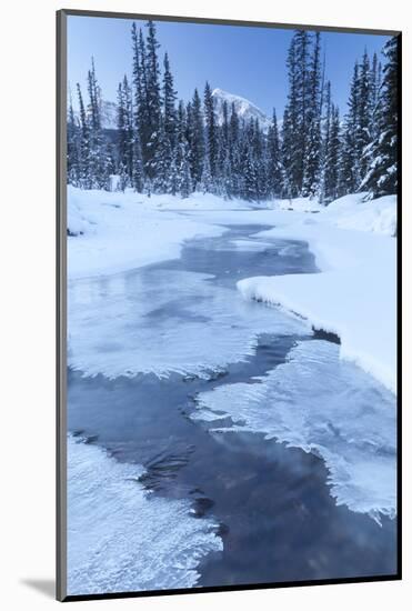 Small Stream in Winter, Banff National Park, Alberta, Canada, North America-Miles Ertman-Mounted Photographic Print