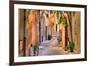 Small Street at Saint Tropez, Cote D'azur, France-PlusONE-Framed Photographic Print