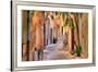 Small Street at Saint Tropez, Cote D'azur, France-PlusONE-Framed Photographic Print