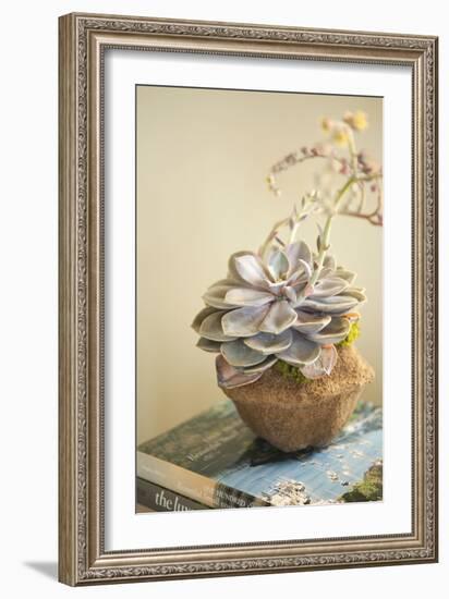 Small Succulent-Karyn Millet-Framed Photographic Print