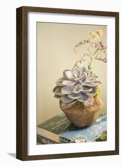 Small Succulent-Karyn Millet-Framed Photographic Print