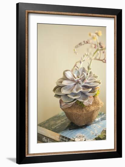 Small Succulent-Karyn Millet-Framed Photographic Print