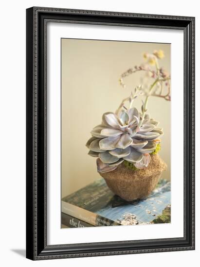 Small Succulent-Karyn Millet-Framed Photographic Print