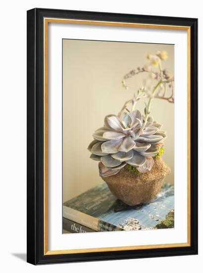 Small Succulent-Karyn Millet-Framed Photographic Print