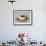 Small Swan-Shaped Gravy Boat, Porcelain, Dagoty Manufacture, Paris, France-null-Framed Giclee Print displayed on a wall