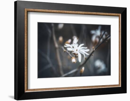 Small things-Philippe Sainte-Laudy-Framed Photographic Print