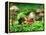 Small Toad Surrounded by Mushrooms, Jasmund National Park, Island of Ruegen, Germany-Christian Ziegler-Framed Premier Image Canvas