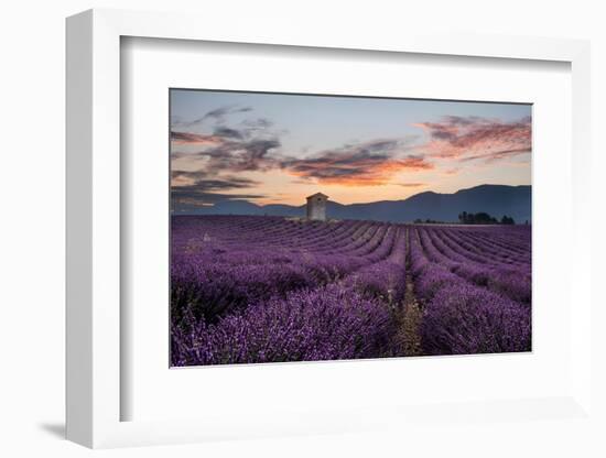 Small tower in a lavender field at sunrise with pink colored clouds in the sky, Provence, France-Francesco Fanti-Framed Photographic Print