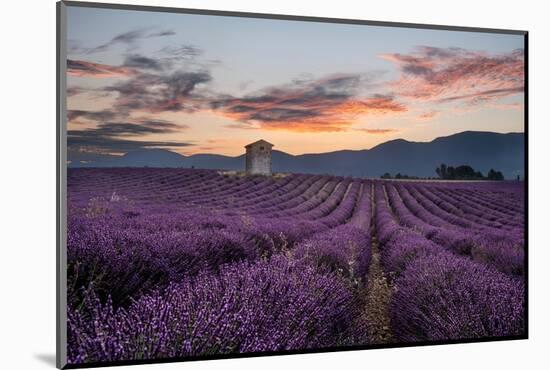 Small tower in a lavender field at sunrise with pink colored clouds in the sky, Provence, France-Francesco Fanti-Mounted Photographic Print