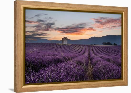 Small tower in a lavender field at sunrise with pink colored clouds in the sky, Provence, France-Francesco Fanti-Framed Premier Image Canvas