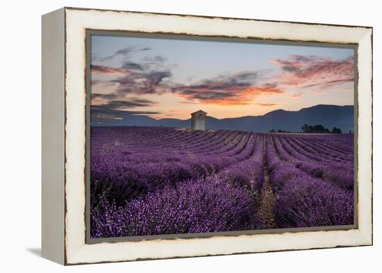 Small tower in a lavender field at sunrise with pink colored clouds in the sky, Provence, France-Francesco Fanti-Framed Premier Image Canvas