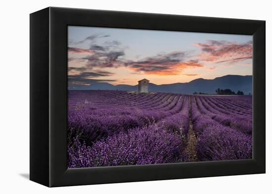 Small tower in a lavender field at sunrise with pink colored clouds in the sky, Provence, France-Francesco Fanti-Framed Premier Image Canvas