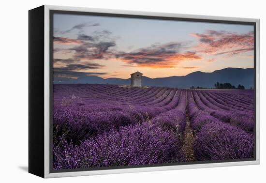 Small tower in a lavender field at sunrise with pink colored clouds in the sky, Provence, France-Francesco Fanti-Framed Premier Image Canvas