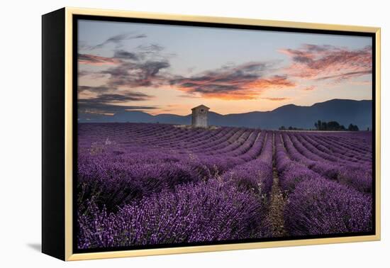 Small tower in a lavender field at sunrise with pink colored clouds in the sky, Provence, France-Francesco Fanti-Framed Premier Image Canvas