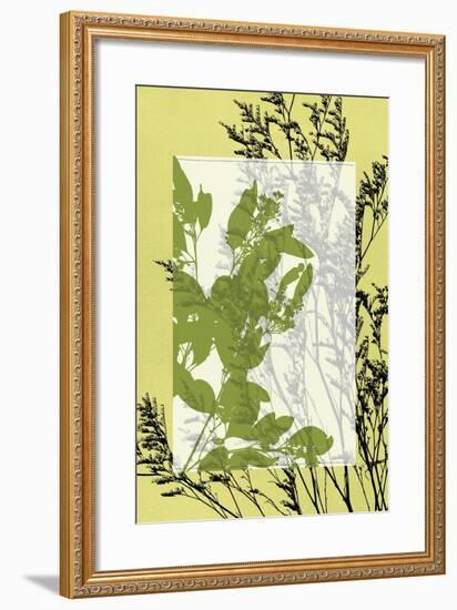 Small Translucent Wildflowers III-Jennifer Goldberger-Framed Art Print