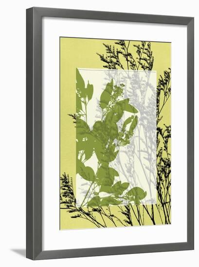 Small Translucent Wildflowers III-Jennifer Goldberger-Framed Art Print