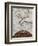 Small Tree in Late Autumn-Egon Schiele-Framed Giclee Print