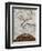 Small Tree in Late Autumn-Egon Schiele-Framed Giclee Print