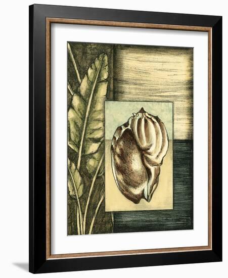 Small Tropical Shell III-Ethan Harper-Framed Art Print