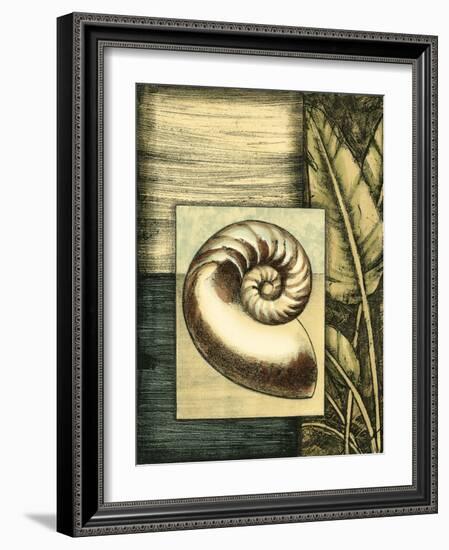 Small Tropical Shell IV-Ethan Harper-Framed Art Print