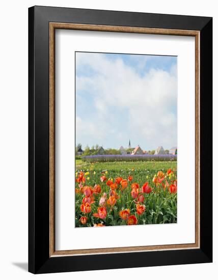 Small Village Den Hoorn with White Church at Dutch Wadden Island Texel-Ivonnewierink-Framed Photographic Print