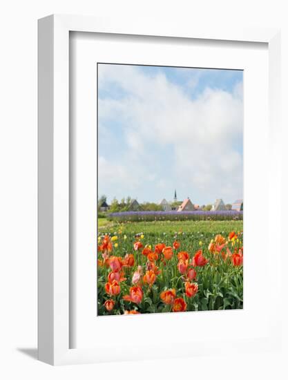 Small Village Den Hoorn with White Church at Dutch Wadden Island Texel-Ivonnewierink-Framed Photographic Print