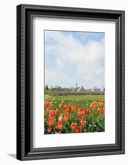 Small Village Den Hoorn with White Church at Dutch Wadden Island Texel-Ivonnewierink-Framed Photographic Print