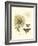 Small Vintage Floral II-null-Framed Art Print