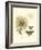 Small Vintage Floral II-null-Framed Art Print