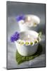 Small White Bowls with Floating Candles and Daisies-Brigitte Protzel-Mounted Photographic Print