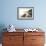 Small White Cockapoo Dog Navigating from the Bow of a Canoe on a Misty Lake - Ontario, Canada-Brian Lasenby-Framed Photographic Print displayed on a wall