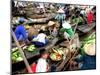 Small Wooden Boats Loaded with Fresh Produce Gather Along a Canal-null-Mounted Photographic Print