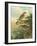 Small Woodland Birds I-Vision Studio-Framed Art Print