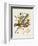 Small Worlds (1922)-Wassily Kandinsky-Framed Art Print