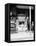 Smallest News Post Card Stand in New Orleans, La., 103 Royal Street-null-Framed Stretched Canvas