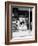 Smallest News Post Card Stand in New Orleans, La., 103 Royal Street-null-Framed Photo