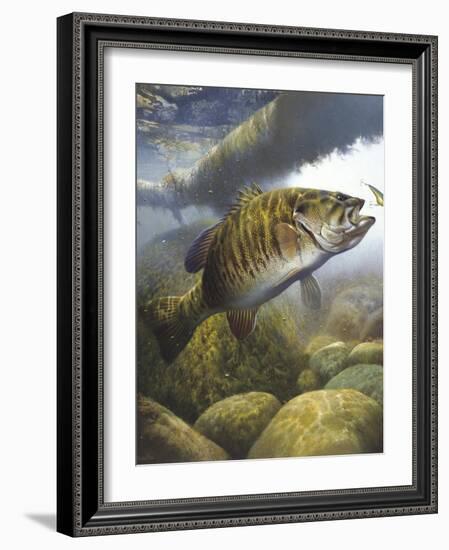 Smallmouth Bass-Larry Tople-Framed Giclee Print