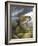 Smallmouth Bass-Larry Tople-Framed Giclee Print