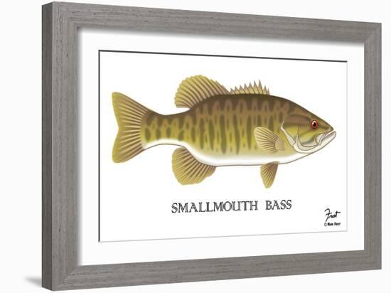 Smallmouth Bass-Mark Frost-Framed Giclee Print