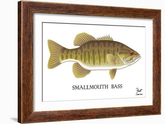 Smallmouth Bass-Mark Frost-Framed Giclee Print
