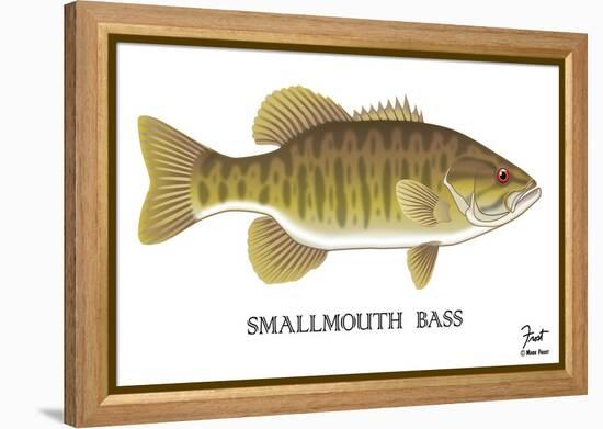 Smallmouth Bass-Mark Frost-Framed Premier Image Canvas