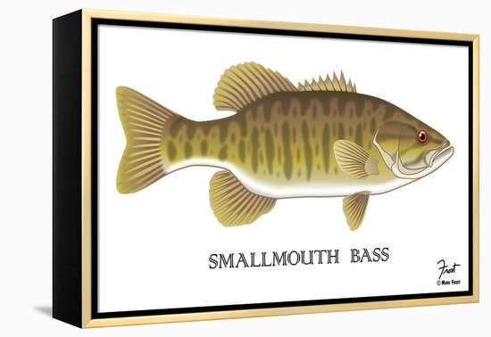 Smallmouth Bass-Mark Frost-Framed Premier Image Canvas