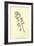 Smalltoothcombia Domestica-Edward Lear-Framed Giclee Print