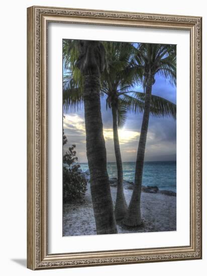 Smathers Beach Sunrise Vertical 2-Robert Goldwitz-Framed Giclee Print