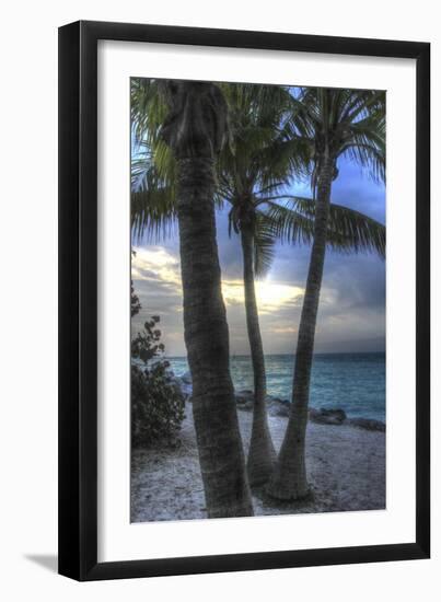 Smathers Beach Sunrise Vertical 2-Robert Goldwitz-Framed Giclee Print