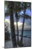 Smathers Beach Sunrise Vertical 2-Robert Goldwitz-Mounted Giclee Print