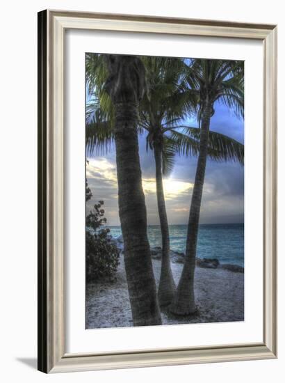 Smathers Beach Sunrise Vertical 2-Robert Goldwitz-Framed Giclee Print